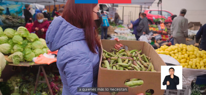 Microbanco de alimentos